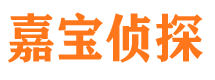 白朗寻人公司